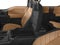2017 Ford F-150 Limited
