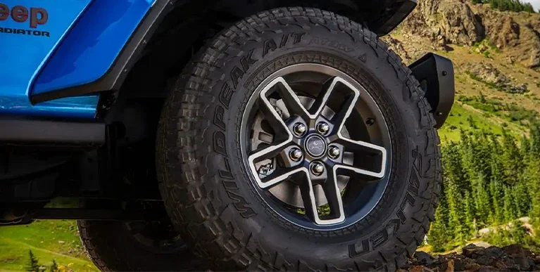 choosing-the-right-gladiator